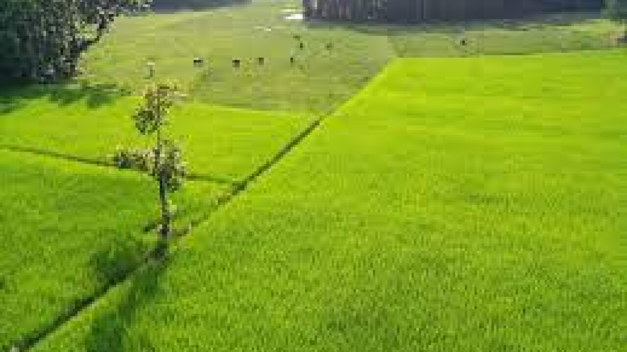 list of national parks