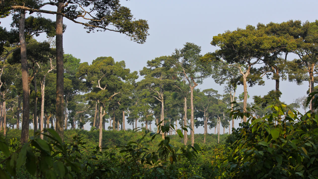 list of national parks