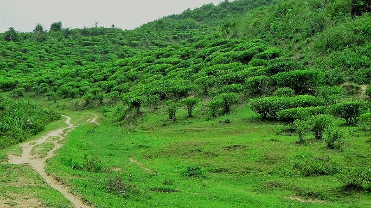 list of national parks