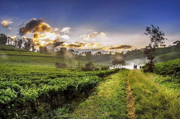 Top 10 tourist place in sylhet