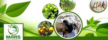 Top 10 Pesticide Company in Bangladesh