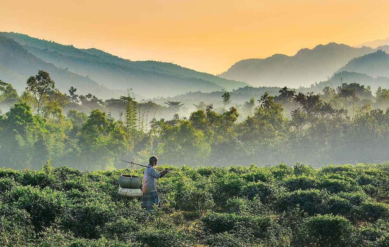 Top 10 Beautiful Places in Bangladesh