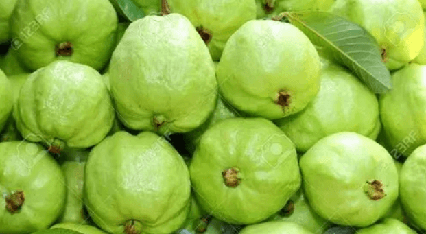পেয়ারা খাওয়ার উপকারিতা