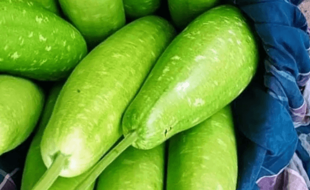 লাউ এর উপকারিতা ও অপকারিতা