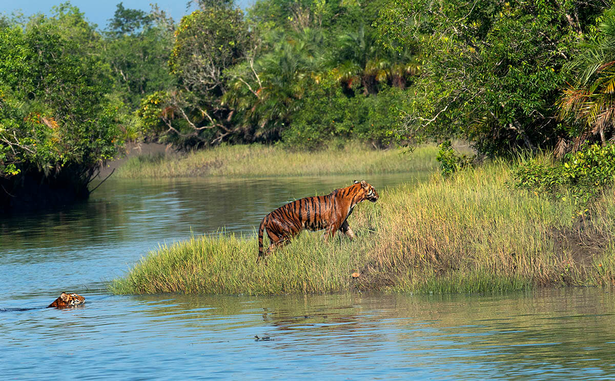 Top 10 Beautiful Places in Bangladesh