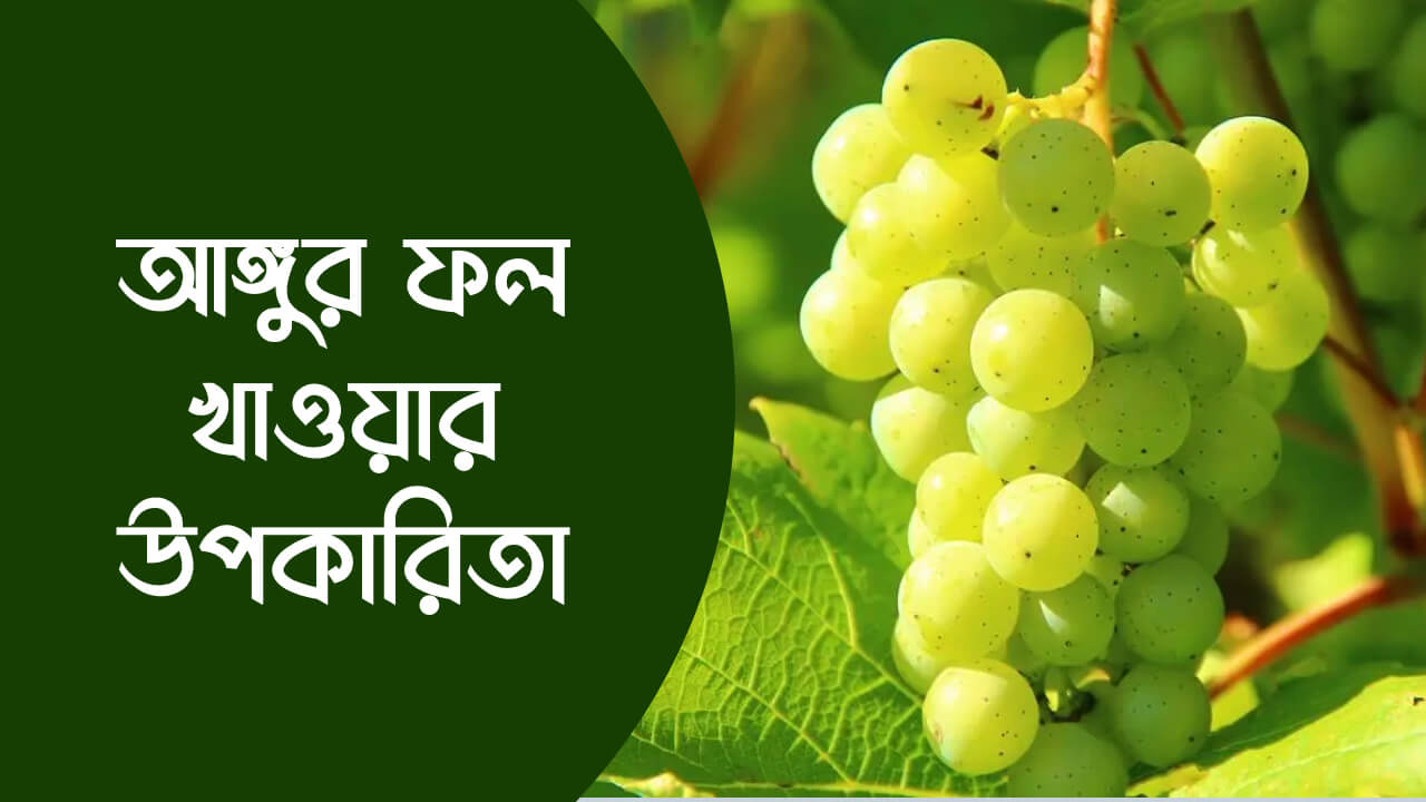 আঙ্গুর ফল খাওয়ার উপকারিতা