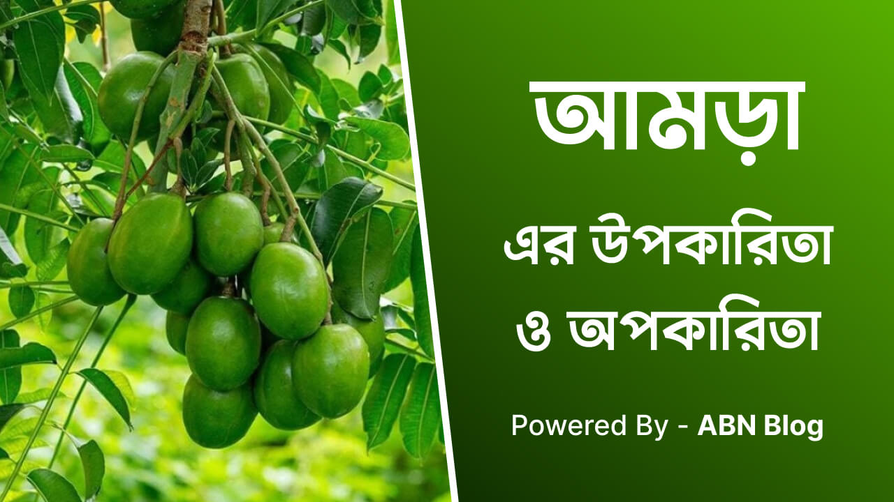 আমড়ার উপকারিতা ও অপকারিতা