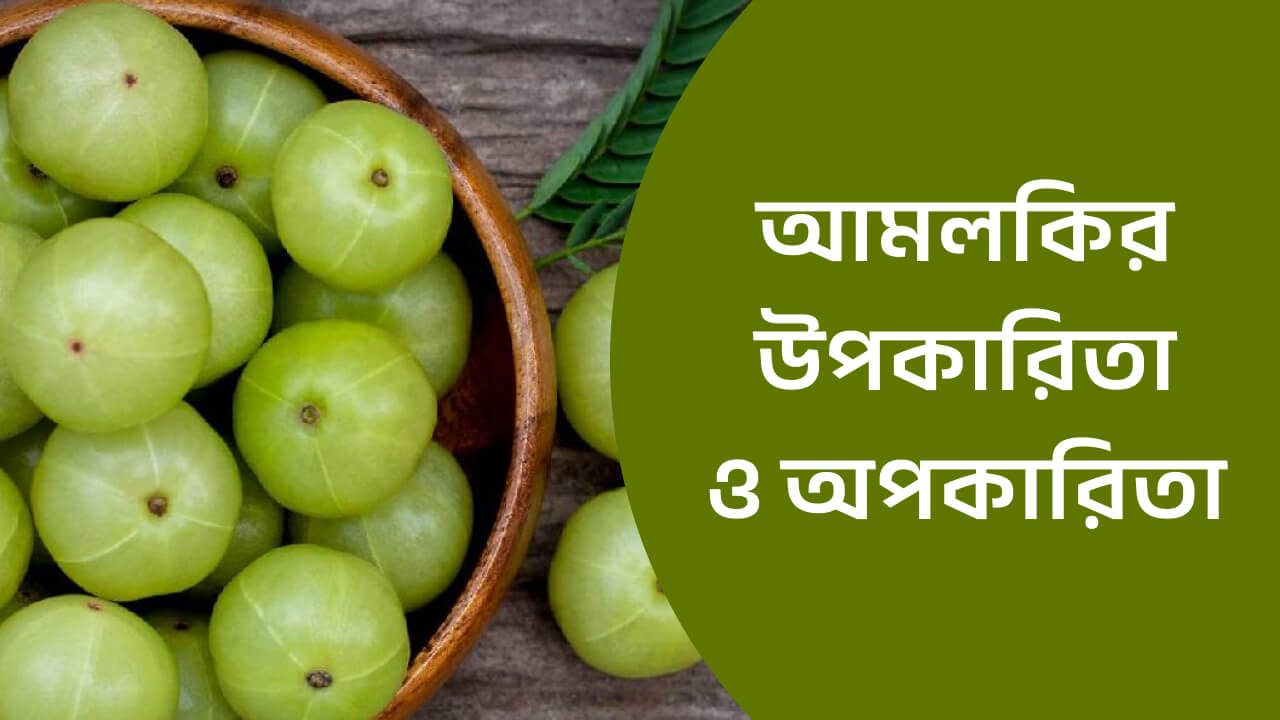 আমলকির উপকারিতা ও অপকারিতা