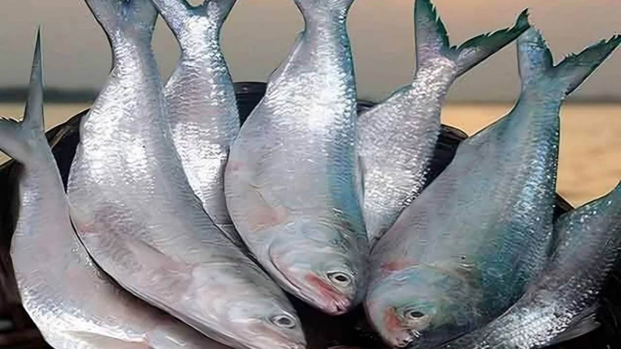 List of GI Product of Bangladesh