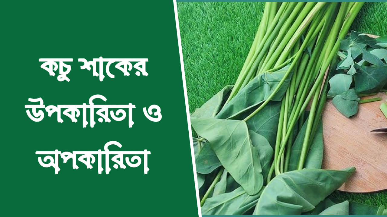 কচু শাকের উপকারিতা ও অপকারিতা