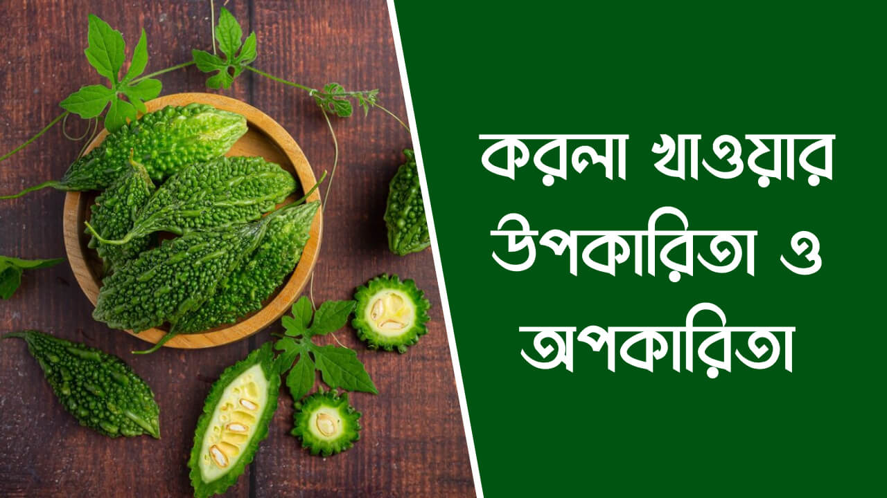 করলা খাওয়ার উপকারিতা ও অপকারিতা