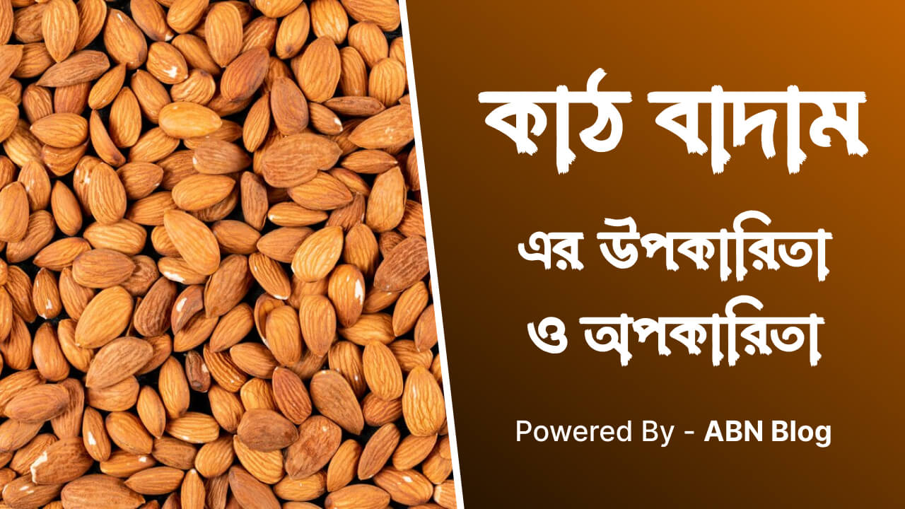 কাঠ বাদামের উপকারিতা ও অপকারিতা