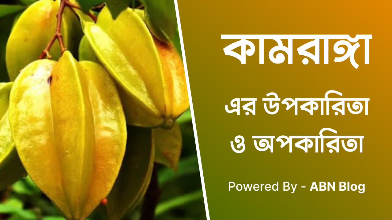 আমড়ার উপকারিতা ও অপকারিতা