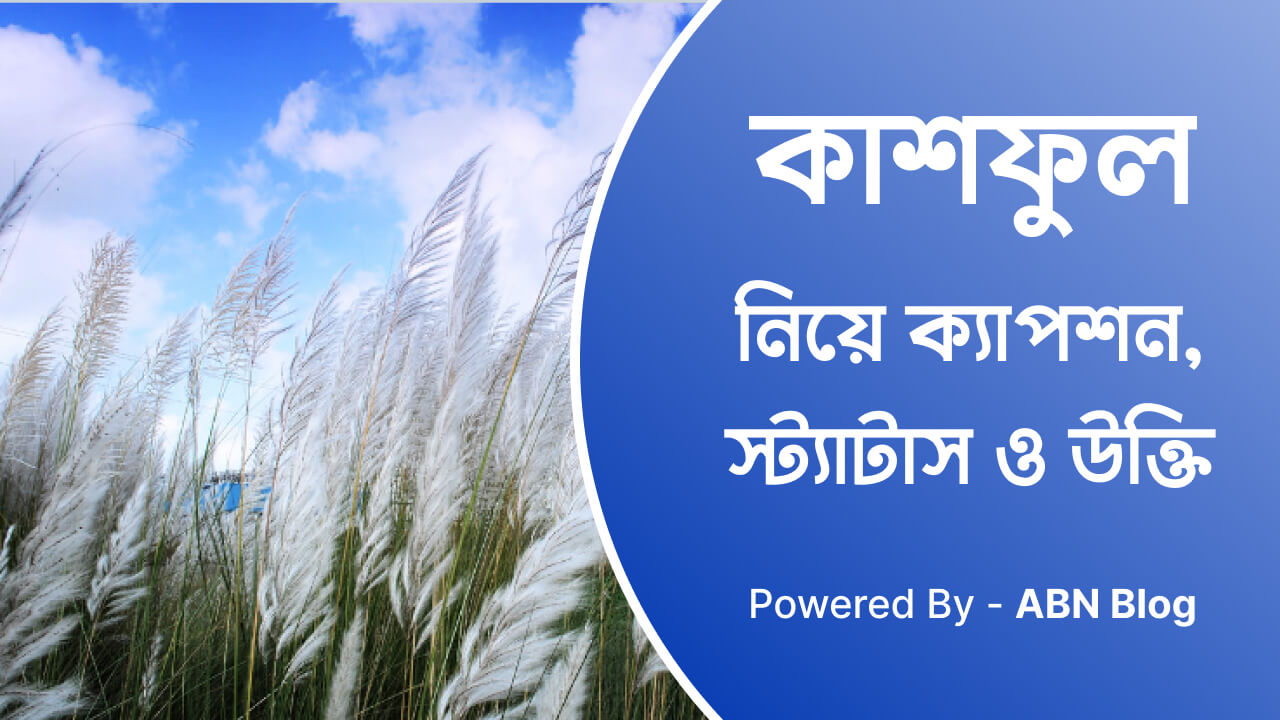 কাশফুল নিয়ে ক্যাপশন, স্ট্যাটাস ও উক্তি