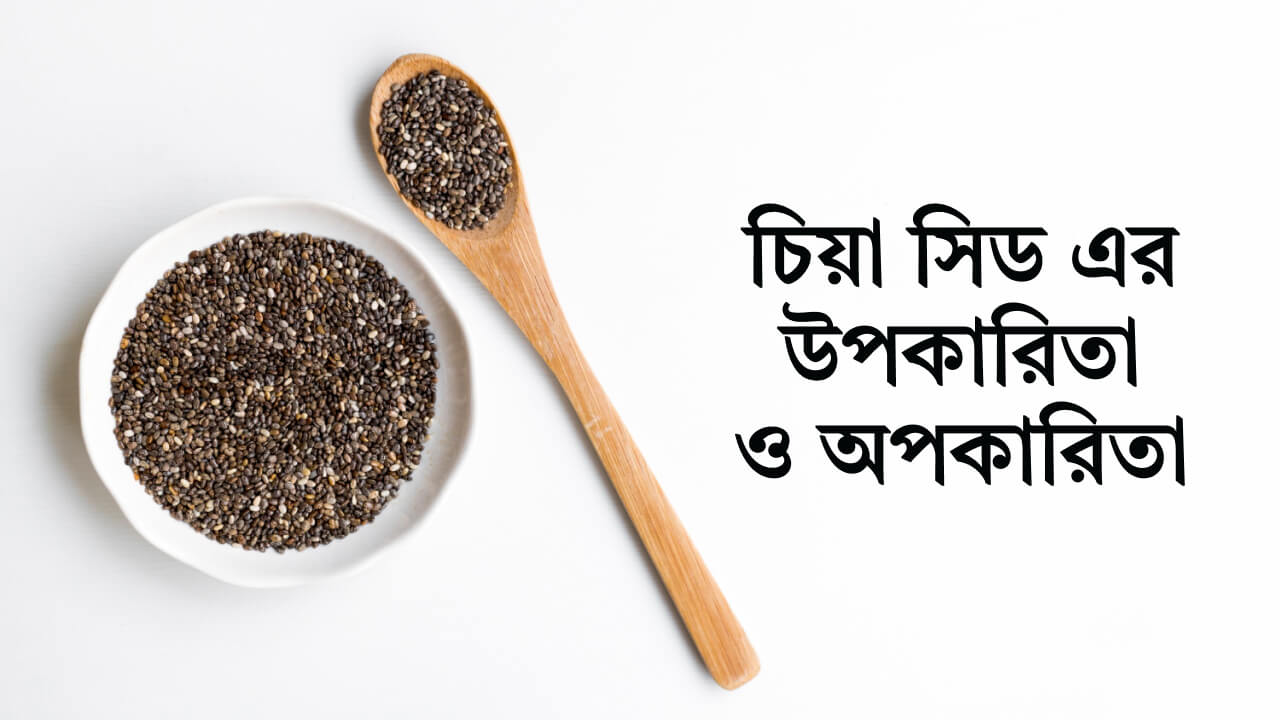 চিয়া সিড এর উপকারিতা ও অপকারিতা