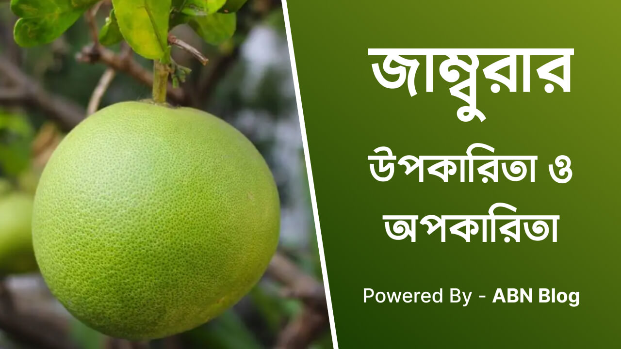 জাম্বুরার উপকারিতা ও অপকারিতা