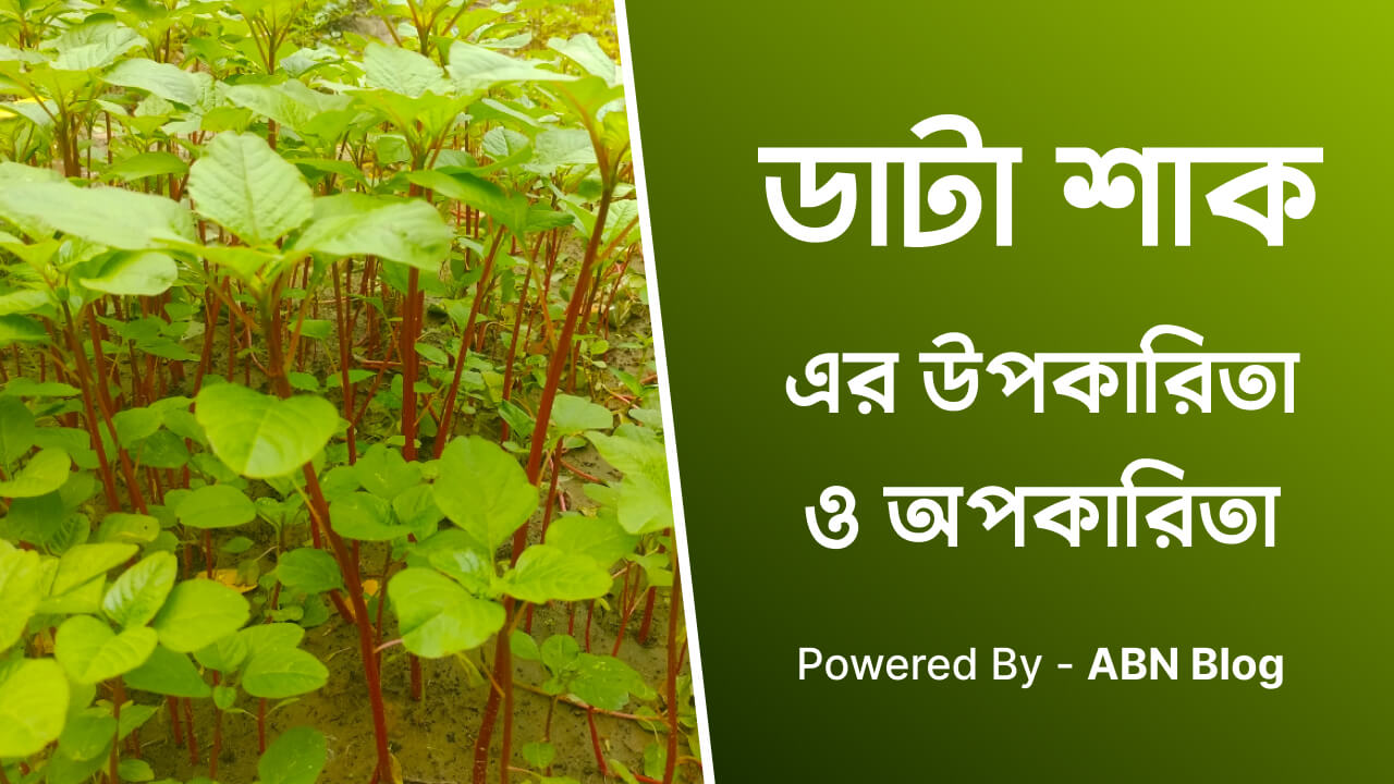 ডাটা শাকের উপকারিতা ও অপকারিতা