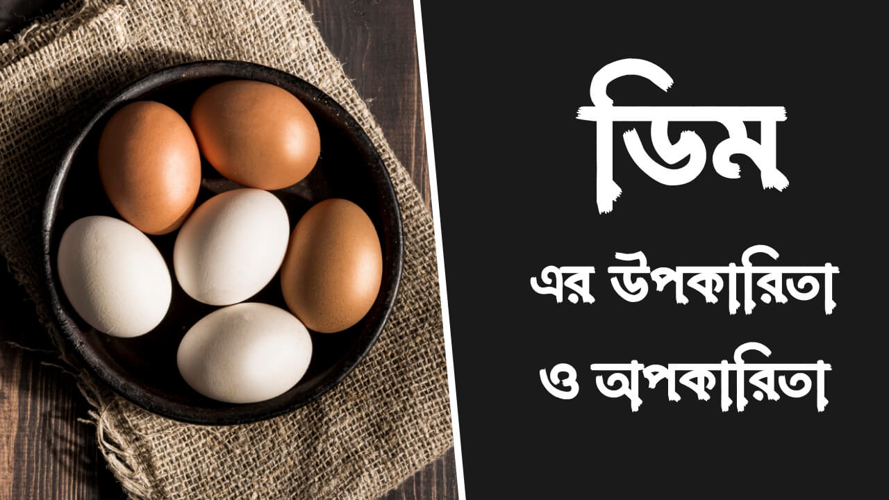 ডিম খাওয়ার উপকারিতা ও অপকারিতা