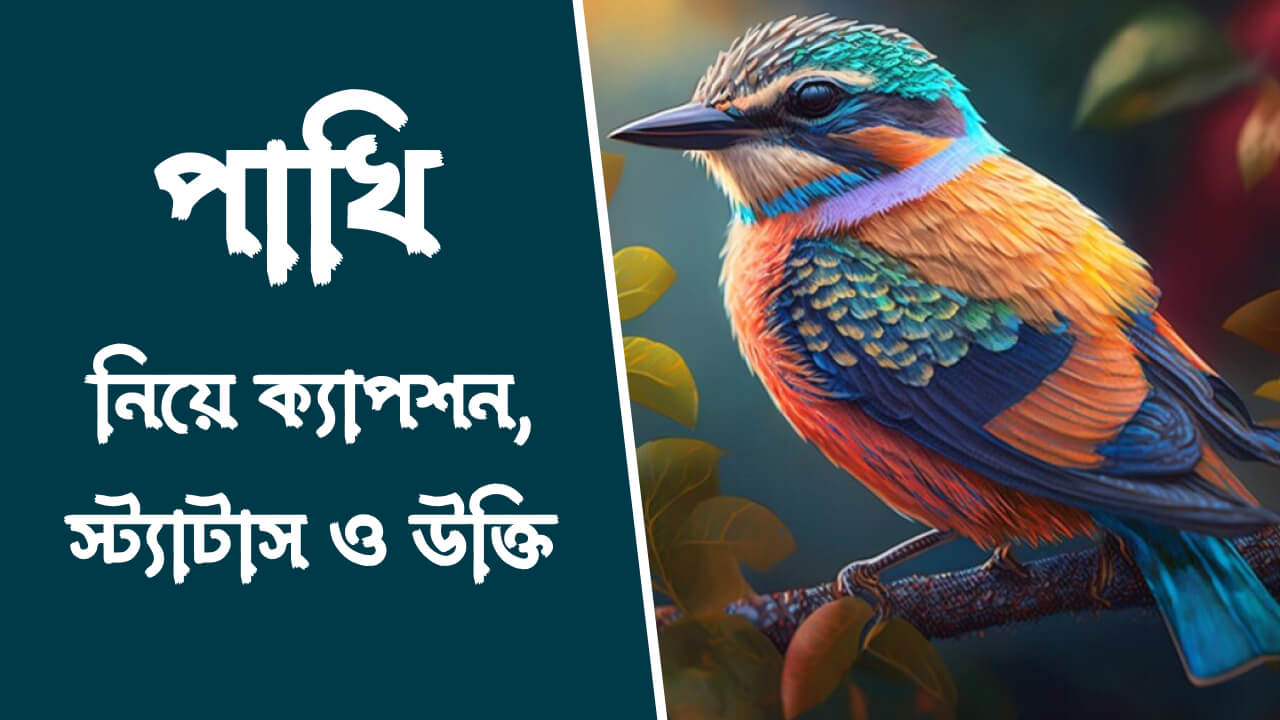 পাখি নিয়ে ক্যাপশন, স্ট্যাটাস ও উক্তি