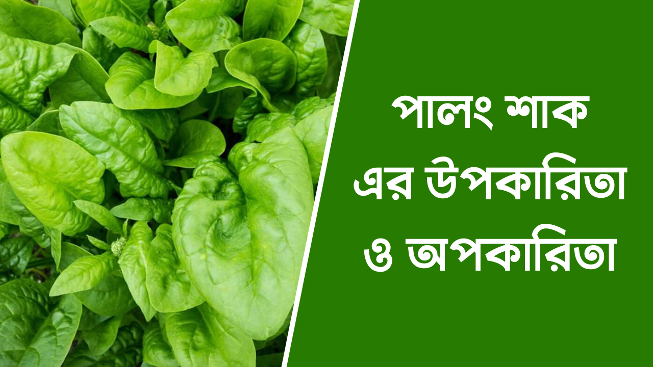 পালং শাক এর উপকারিতা ও অপকারিতা