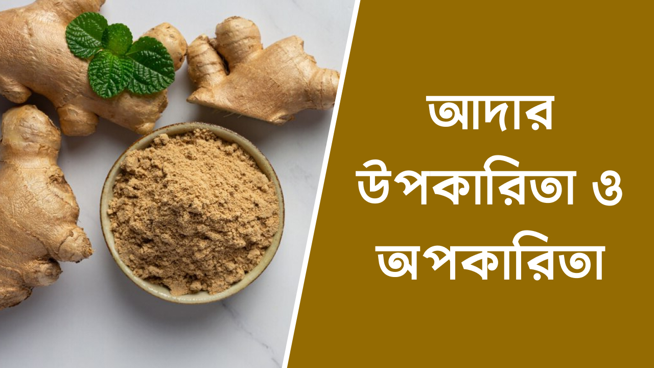 আদার উপকারিতা ও অপকারিতা