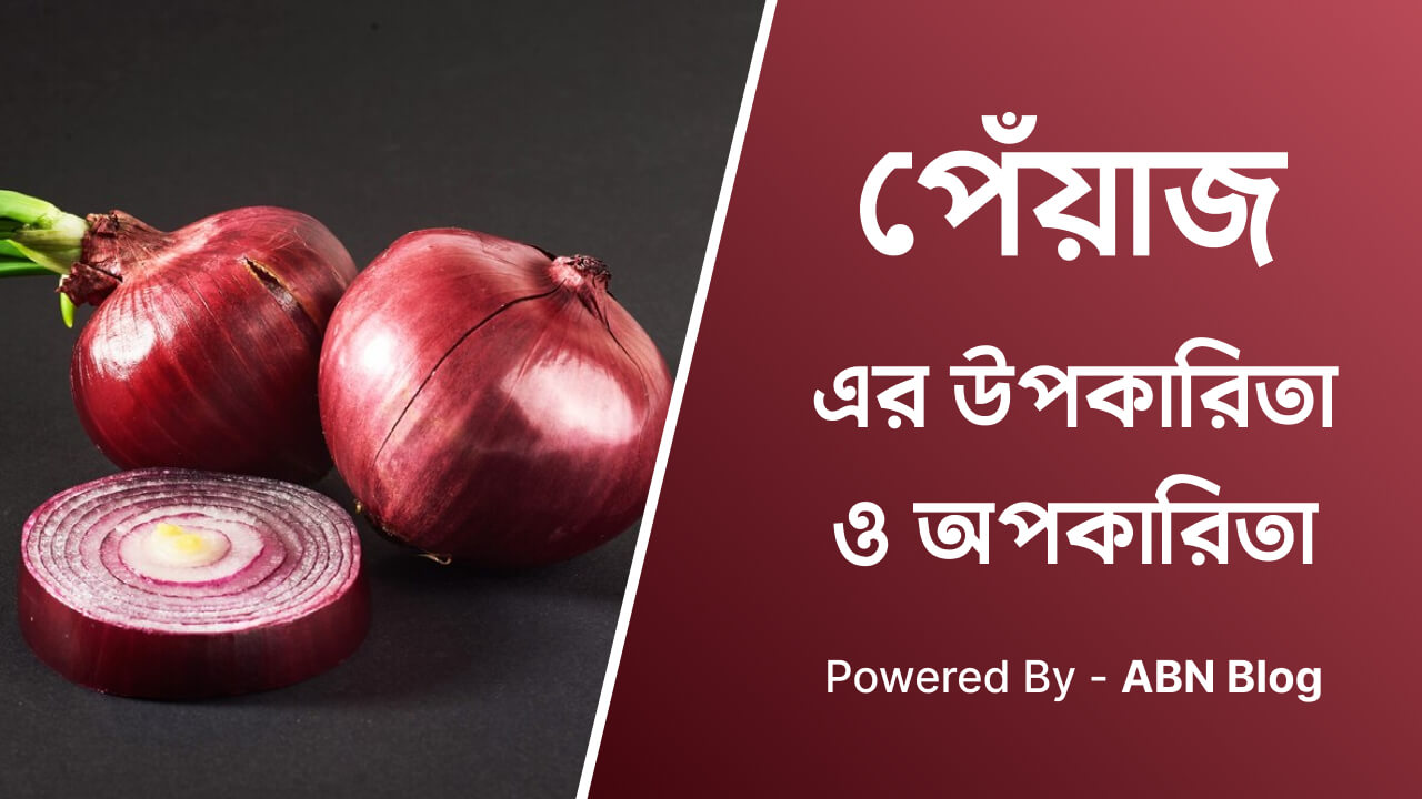 পেঁয়াজের উপকারিতা ও অপকারিতা