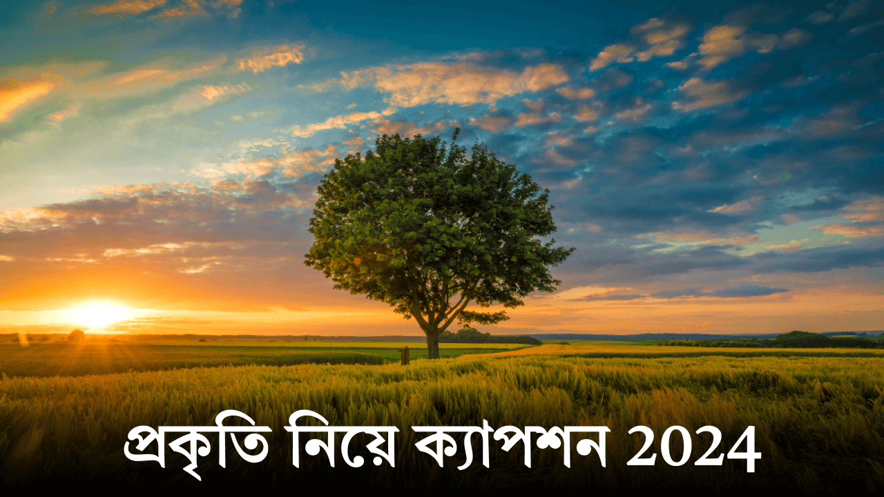 প্রকৃতি নিয়ে ক্যাপশন