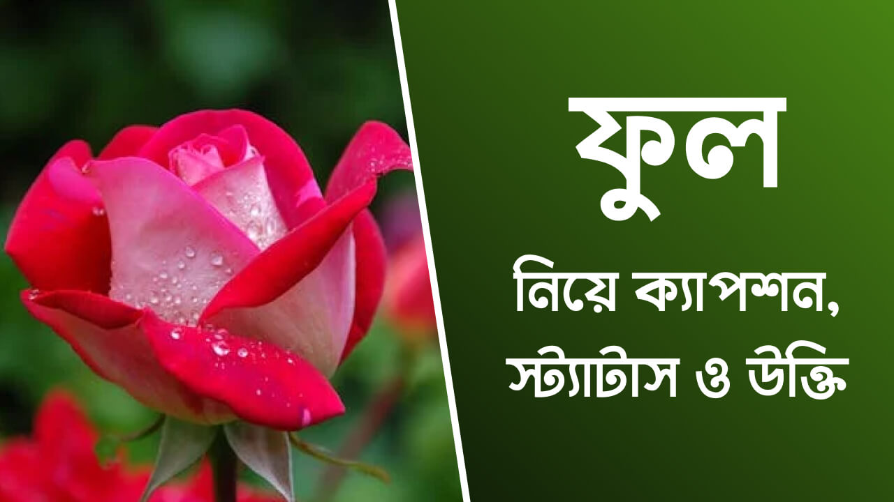 ফুল নিয়ে ক্যাপশন, স্ট্যাটাস ও উক্তি
