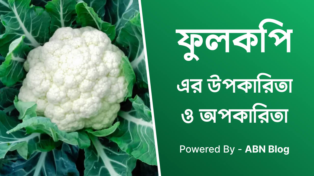ফুলকপির উপকারিতা ও অপকারিতা