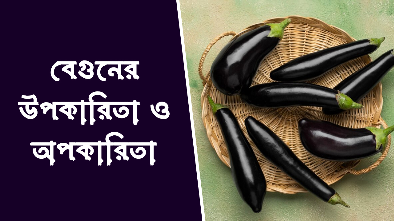 বেগুনের উপকারিতা ও অপকারিতা