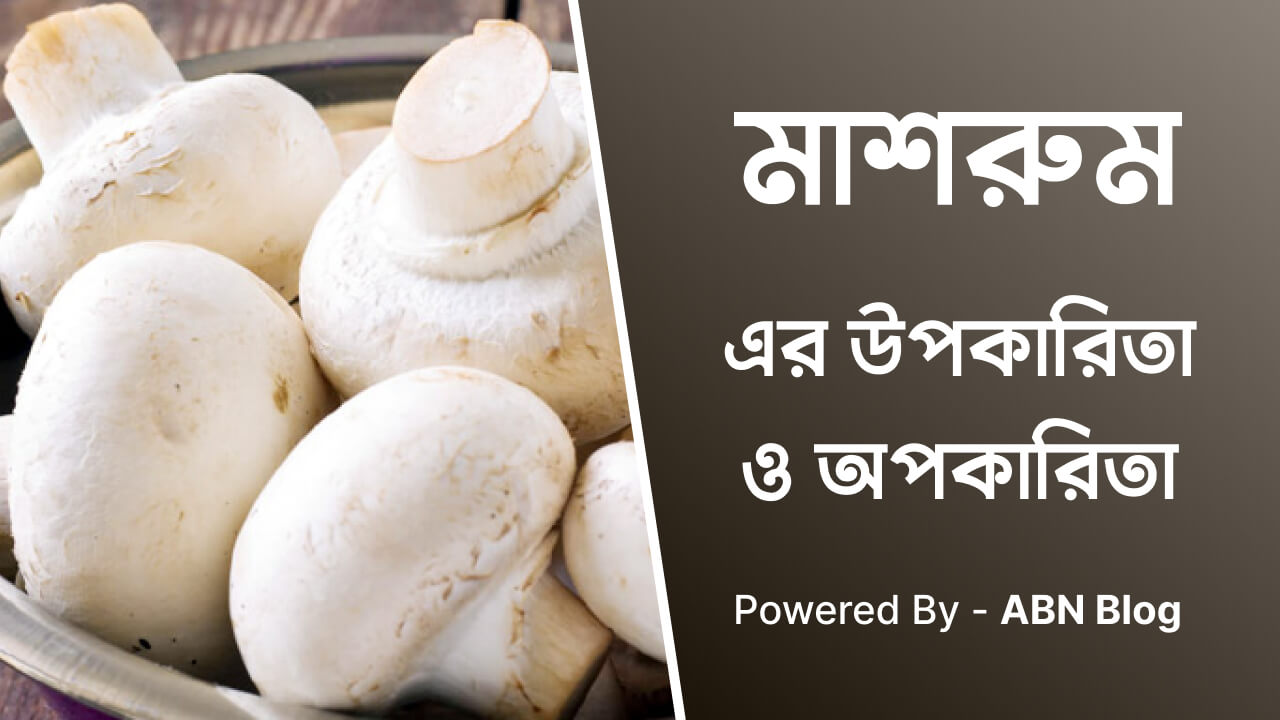 মাশরুমের উপকারিতা ও অপকারিতা