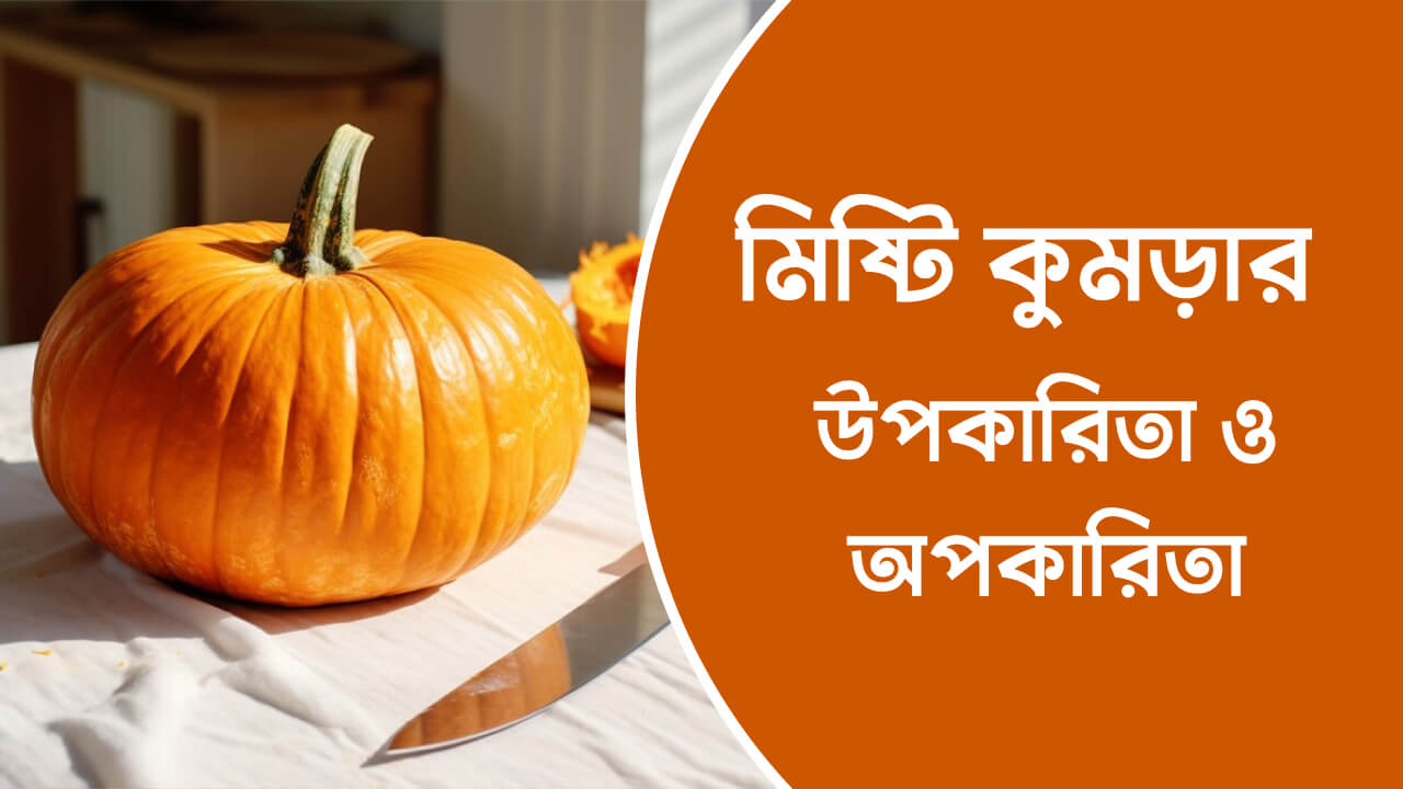 মিষ্টি কুমড়ার উপকারিতা ও অপকারিতা