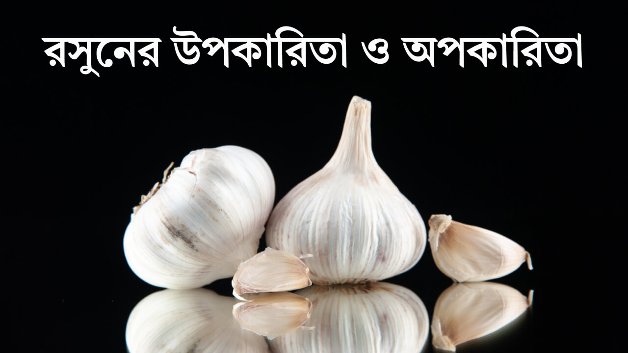 রসুনের উপকারিতা ও অপকারিতা