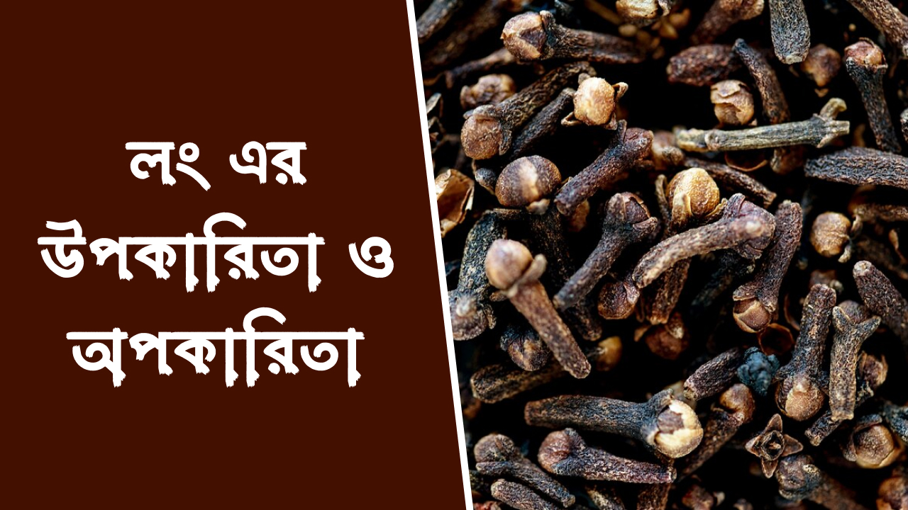 লং এর উপকারিতা ও অপকারিতা
