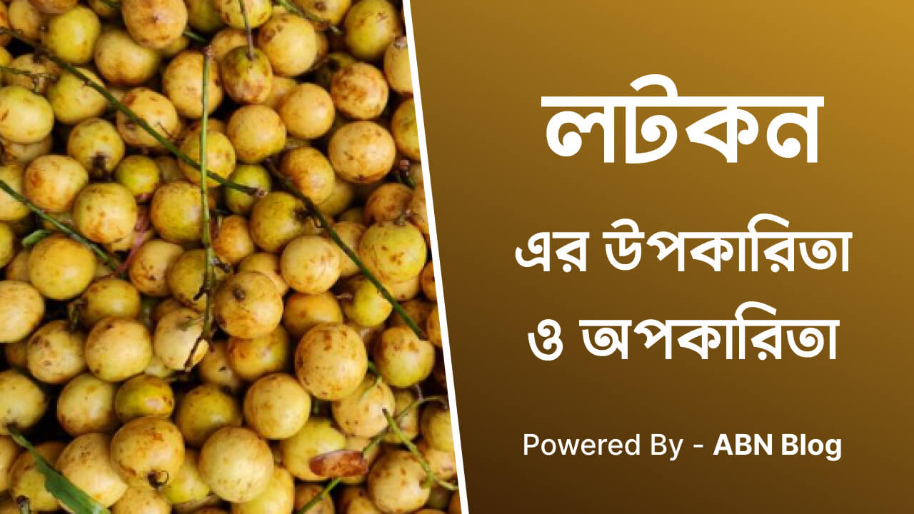 লটকনের উপকারিতা ও অপকারিতা