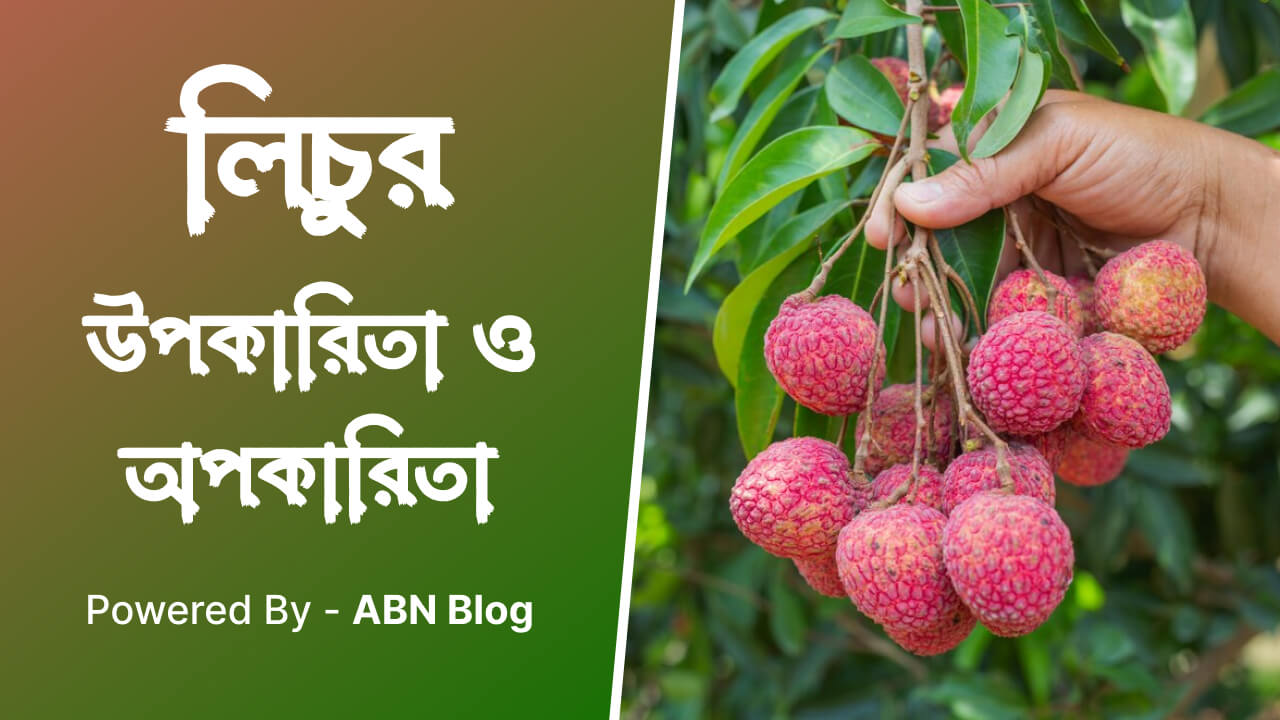 লিচুর উপকারিতা ও অপকারিতা