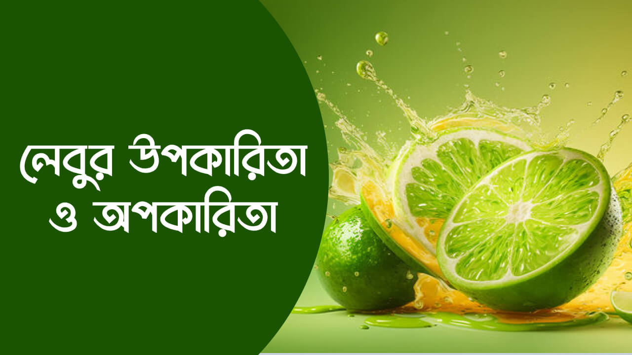 লেবুর উপকারিতা ও অপকারিতা