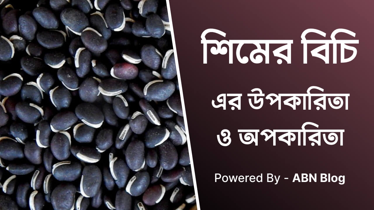 শিমের বিচির উপকারিতা ও অপকারিতা