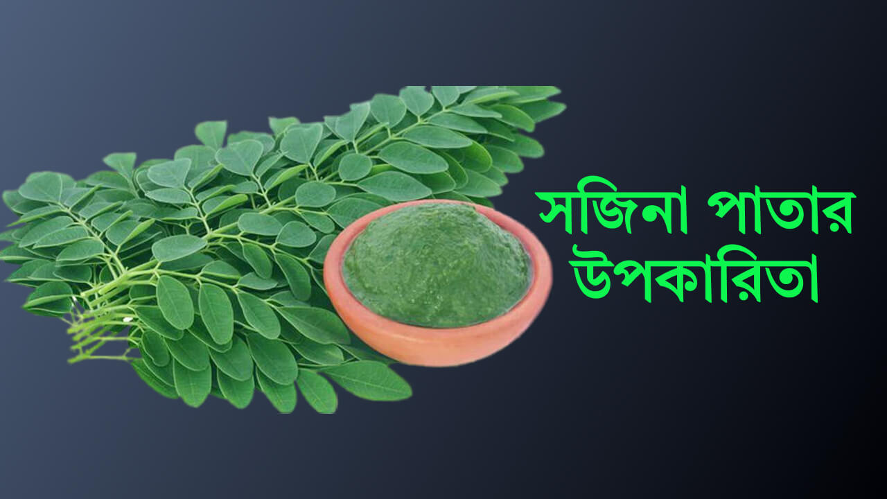 সজিনা পাতার উপকারিতা