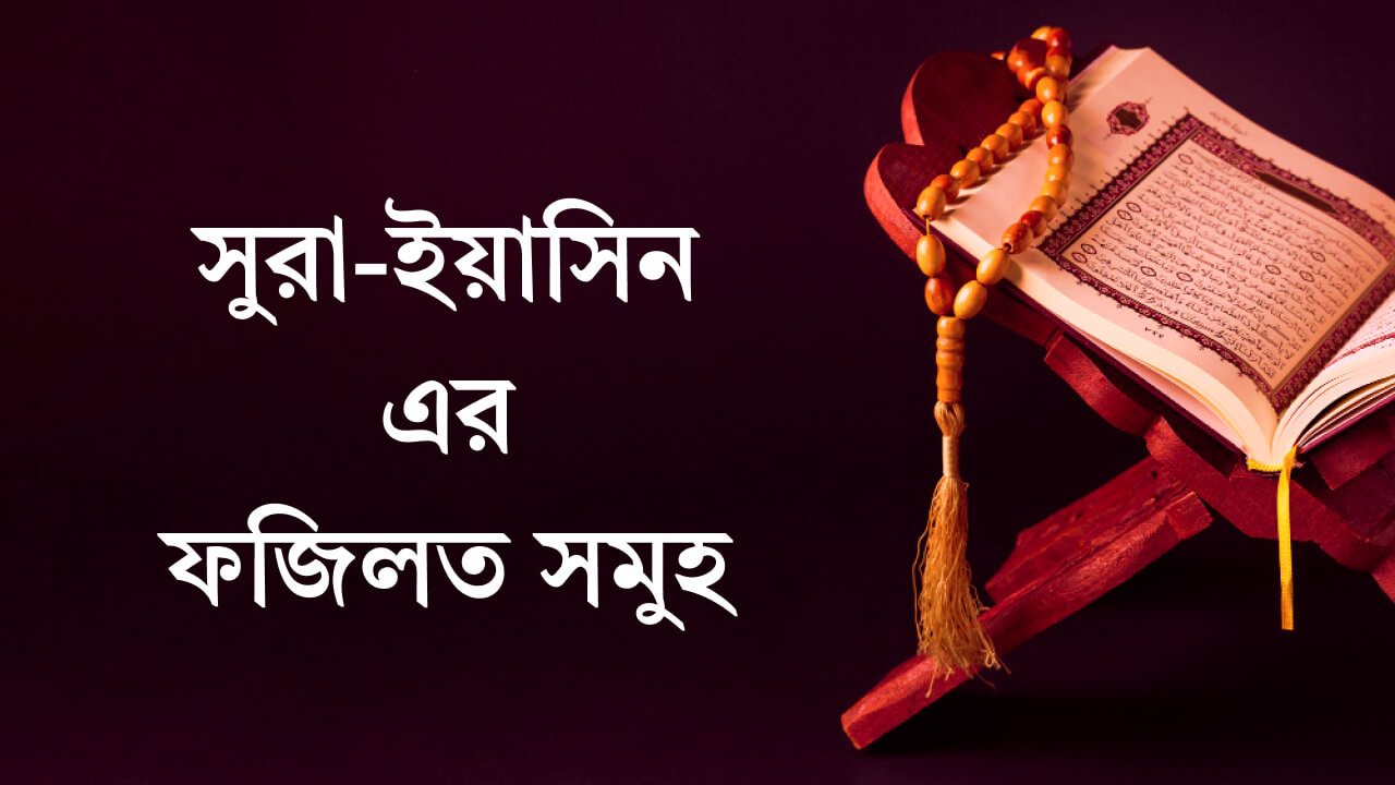 সুরা ইয়াসিন এর ফজিলত