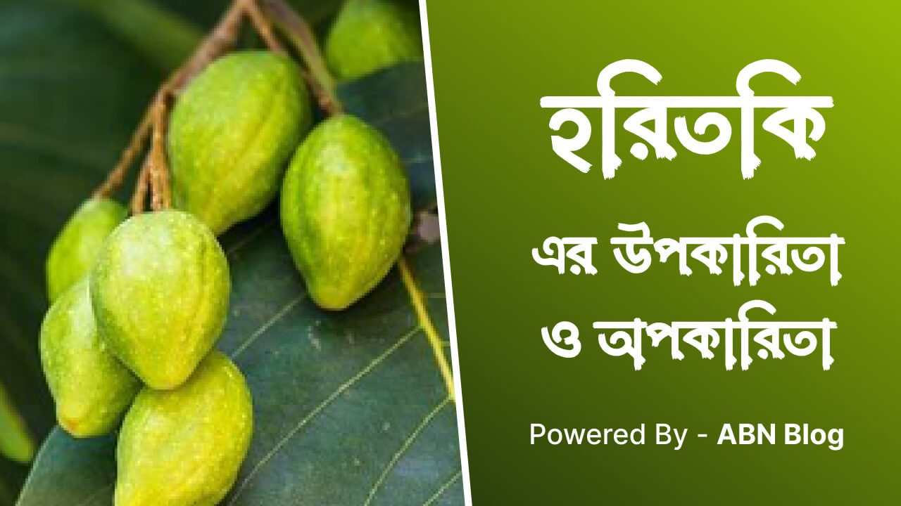 হরিতকির উপকারিতা ও অপকারিতা
